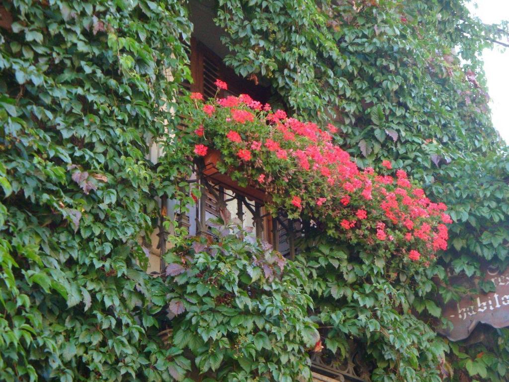 Hotel Casa Frauca Sarvise Ngoại thất bức ảnh